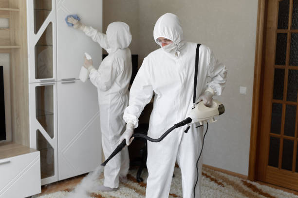 24/7 Emergency Odor Removal experts in Annapolis, CA